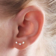 Load image into Gallery viewer, Hot Crystal Flower Stud Earrings for Women Fashion Jewelry Gold Silver Rhinestones Earrings Gift for Party and Best Friend